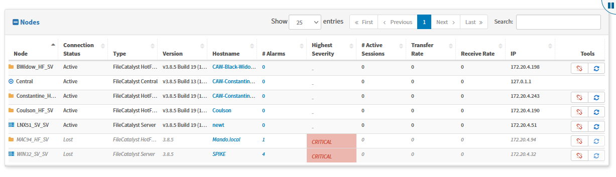 FileCatalyst Central Nodes Detail View